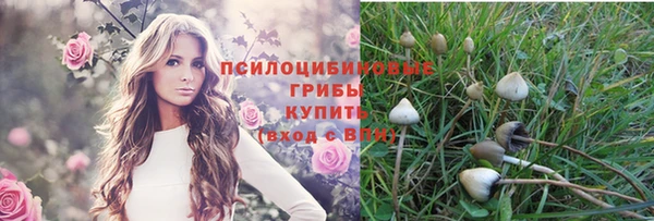 мяу мяу мука Верхний Тагил