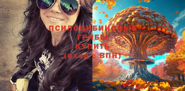 мяу мяу мука Верхний Тагил